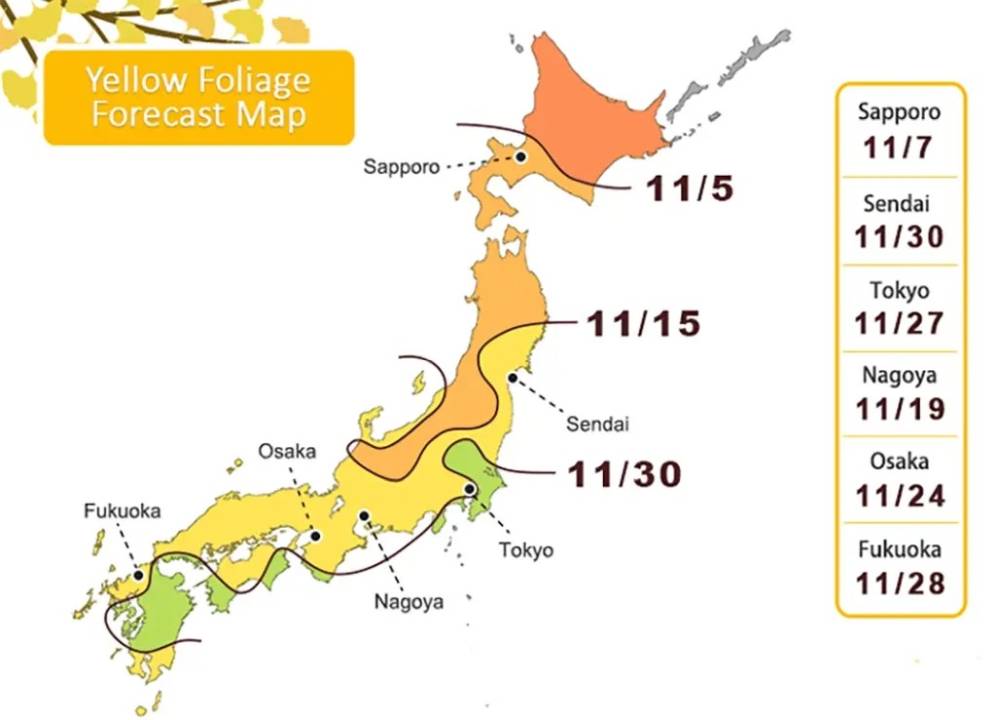 JNTO công bố lịch dự báo lá đỏ, lá vàng 1