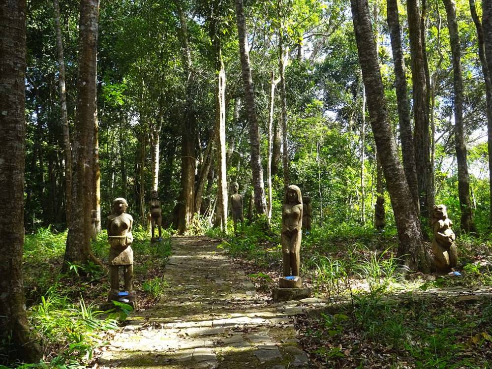 Khám phá vẻ đẹp hoang sơ của đại ngàn Tây Nguyên ảnh 11