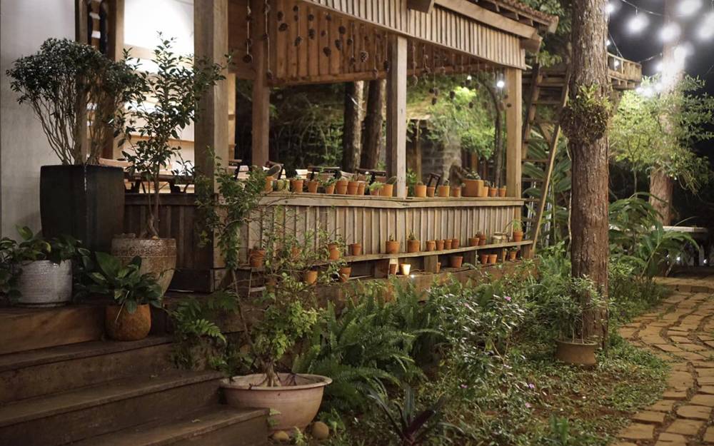 Khám phá vẻ đẹp hoang sơ của đại ngàn Tây Nguyên ảnh 5