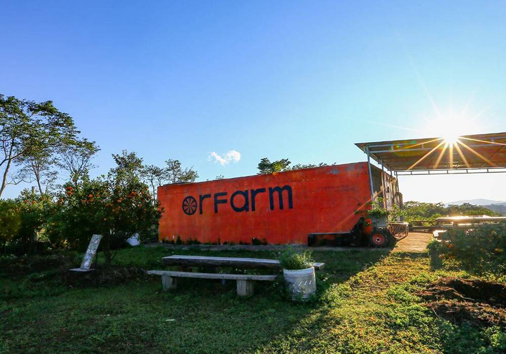 Khám phá vẻ đẹp hoang sơ của đại ngàn Tây Nguyên ảnh 9