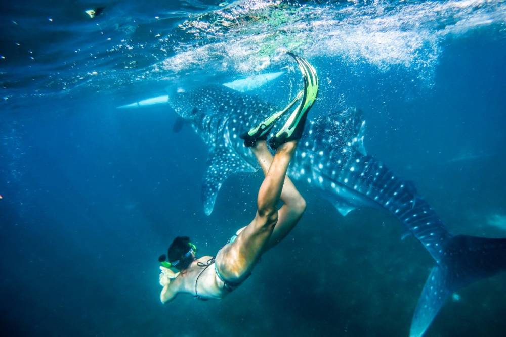 Khai trương đường bay thẳng từ Hà Nội đến Cebu, PHILIPPINES từ ngày 01/12/2025 ảnh 13