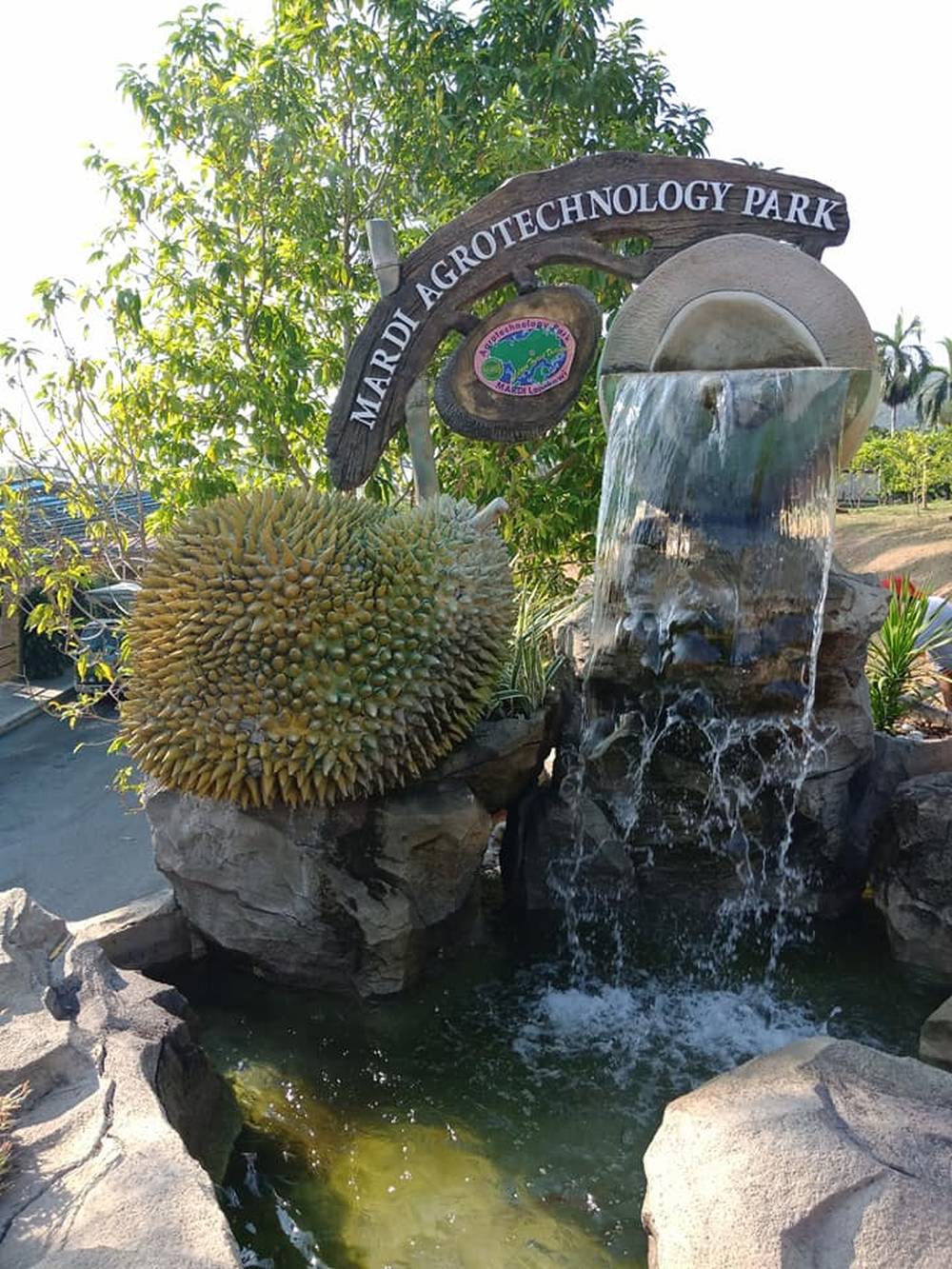 Ghé thăm Langkawi - đảo ngọc của Malaysia ảnh 12