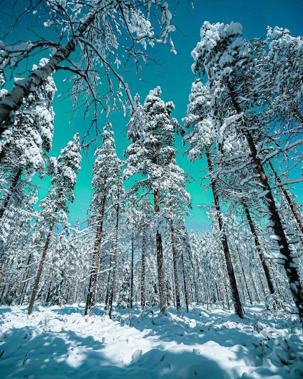 Ghé thăm ngôi làng của ông già Noel 7