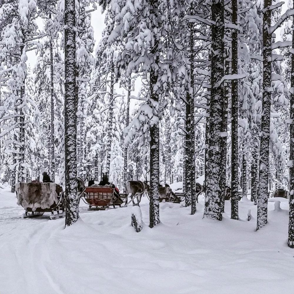 Ghé thăm ngôi làng của ông già Noel 8