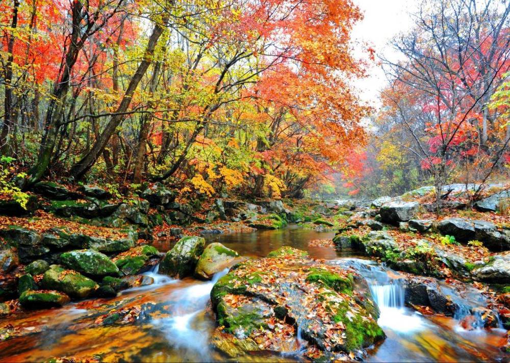 Gợi ý 5 địa điểm ngắm mùa Thu tuyệt đẹp ở Hàn Quốc ảnh 2