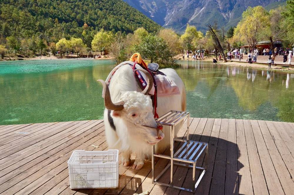 Hành trình đi qua những giấc mơ Vân Nam ảnh 9