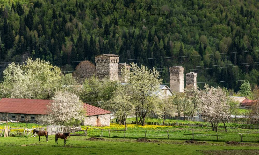 Hành trình khám phá mùa xuân Georgia của cô gái Việt ảnh 9