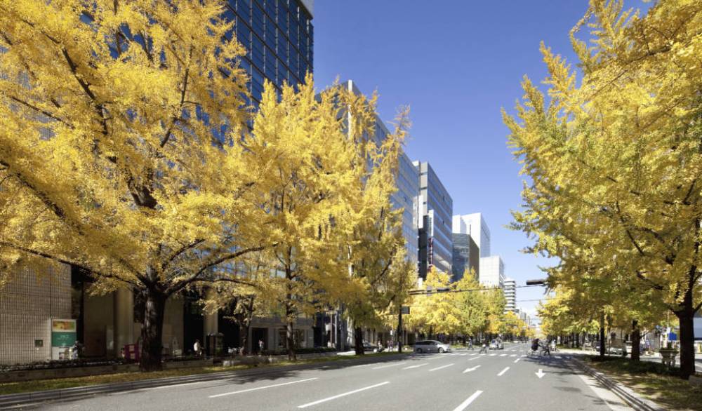 Hòa mình vào sắc thu lá đỏ cùng Tour Nhật Bản ảnh 14