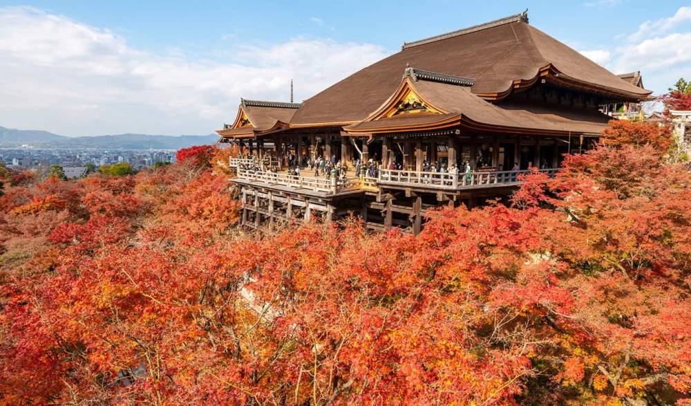 Hòa mình vào sắc thu lá đỏ cùng Tour Nhật Bản ảnh 15