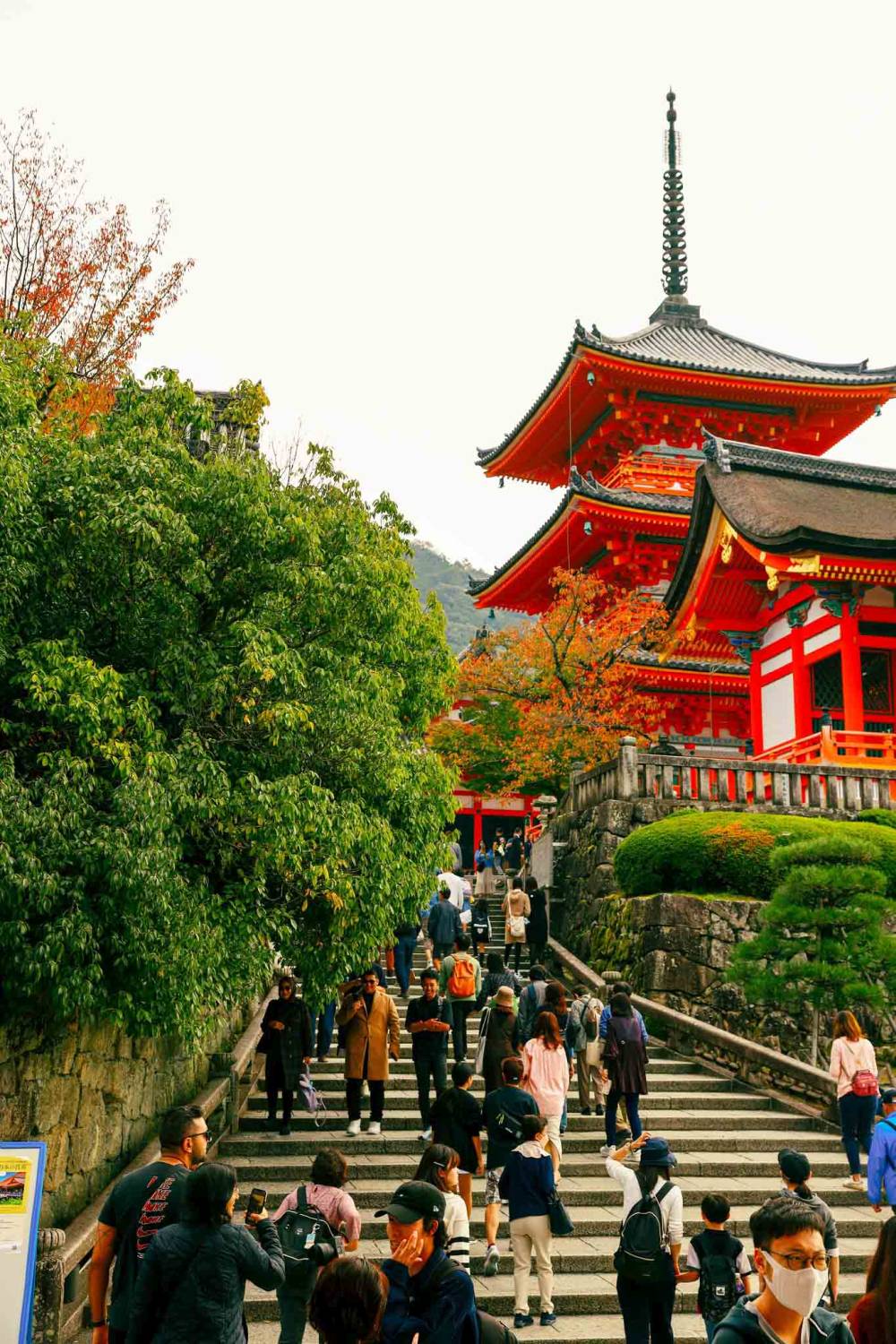 Hòa mình vào sắc thu lá đỏ cùng Tour Nhật Bản ảnh 16