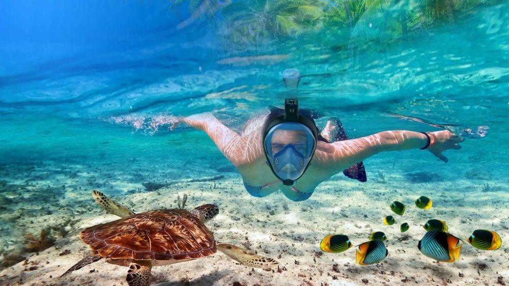 Hòn đảo thiên đường có quá khứ đen tối ở Brazil 10