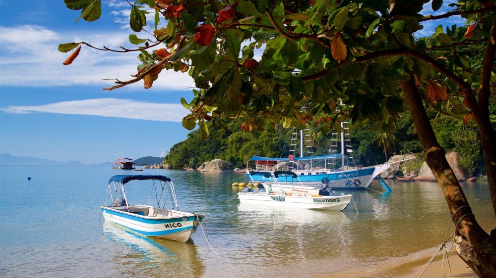 Hòn đảo thiên đường có quá khứ đen tối ở Brazil 9