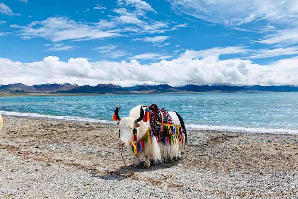 Huyền Bí Tây Tạng Lhasa - Shigatse - Thánh Hồ Namtso ảnh 6
