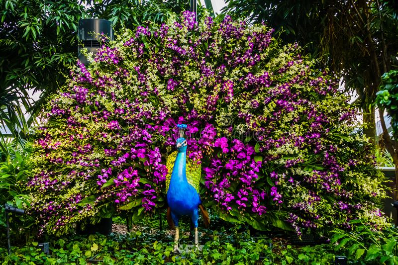 Jewel Changi – nơi check-in độc đáo khi đến Singapore 5