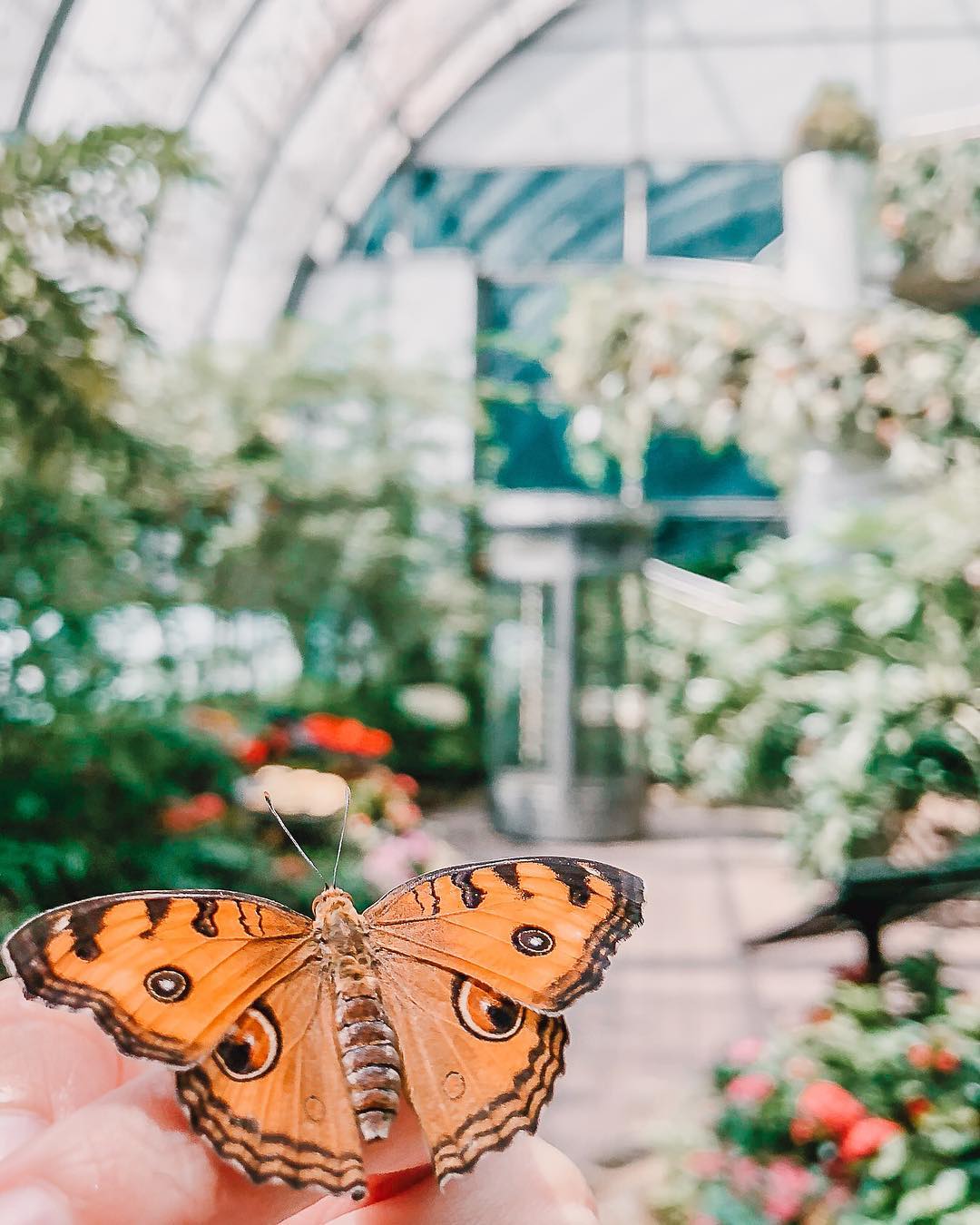 Jewel Changi – nơi check-in độc đáo khi đến Singapore 6