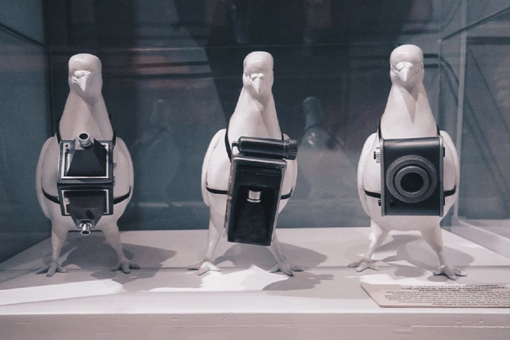 Kampong Gelam nơi giao hòa giữa truyền thống và hiện đại 5