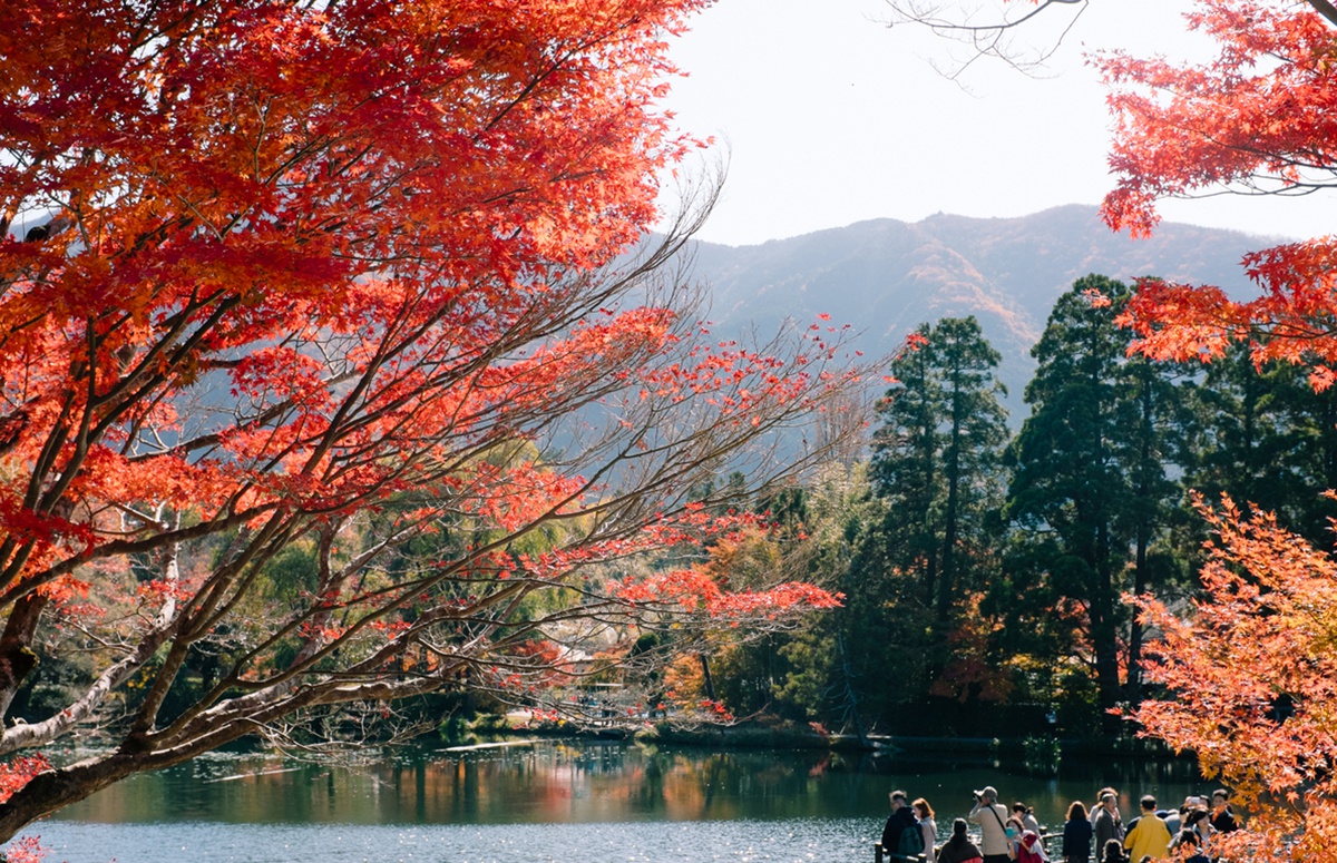 Khách Việt chưa thể du lịch Nhật Bản tự túc hoàn toàn 1