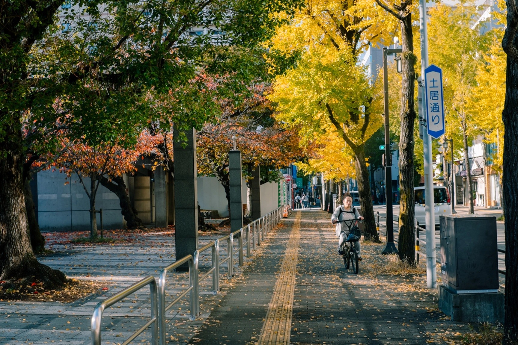 Khách Việt có thể du lịch tự túc Nhật Bản hoàn toàn 1