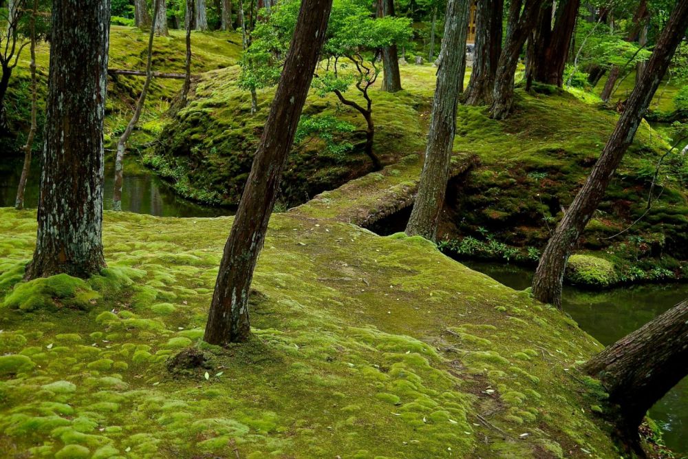 Khám phá 17 di tích huyền thoại ở cố đô Kyoto Nhật Bản 11