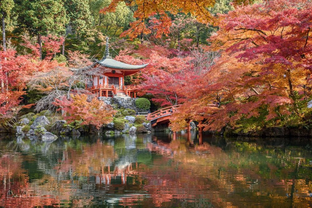 Khám phá 17 di tích huyền thoại ở cố đô Kyoto Nhật Bản 6
