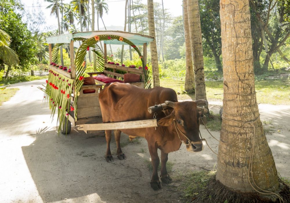 Khám phá 20 phương tiện chở khách độc đáo trên thế giới 19