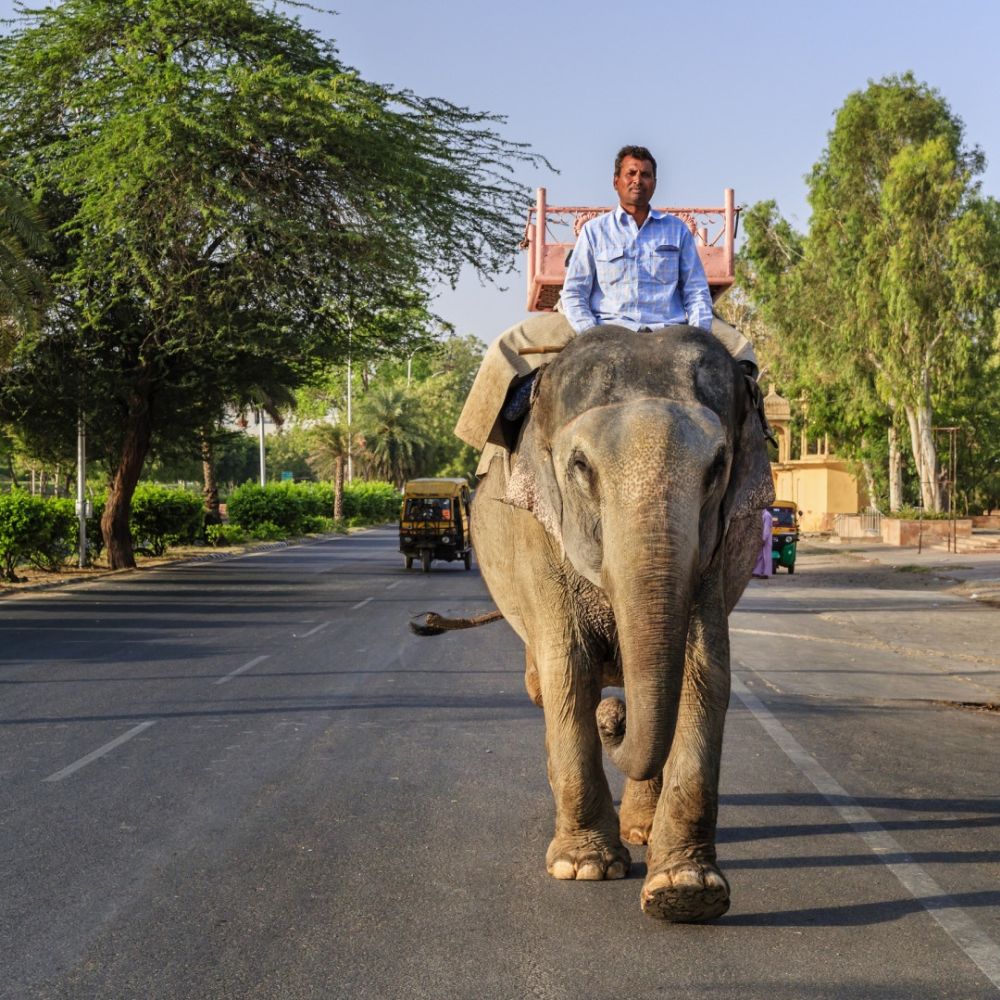 Khám phá 20 phương tiện chở khách độc đáo trên thế giới 6