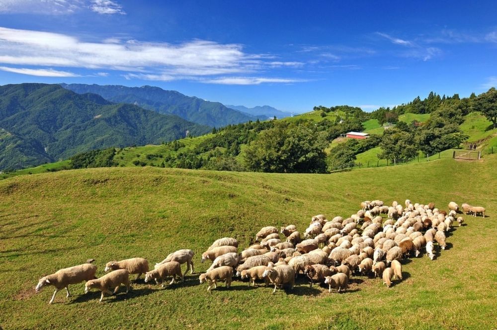 Khám phá 25 địa điểm du lịch ở Đài Loan đẹp và hấp dẫn 13