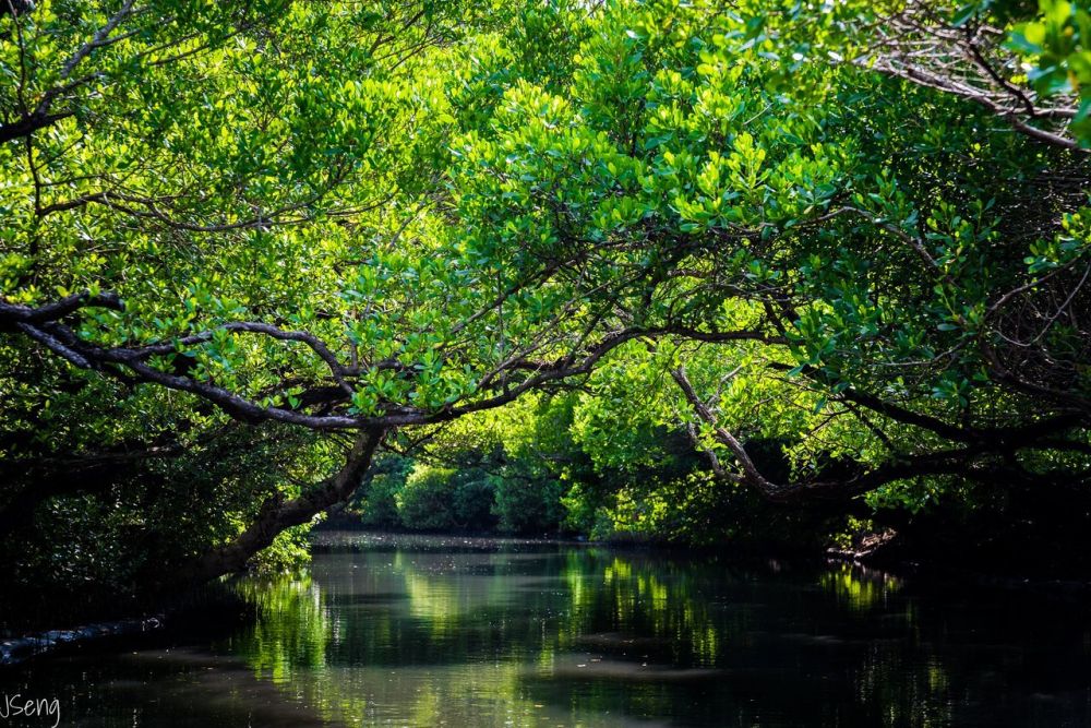 Khám phá 25 địa điểm du lịch ở Đài Loan đẹp và hấp dẫn 16