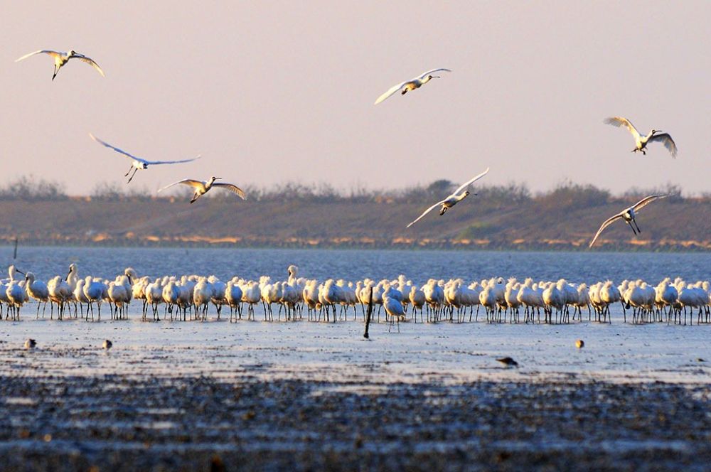 Khám phá 25 địa điểm du lịch ở Đài Loan đẹp và hấp dẫn 19