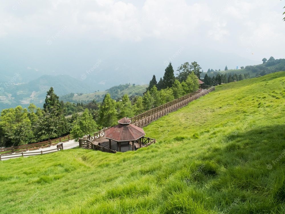 Khám phá 7 điểm đến đầu năm tại Đài Loan 8