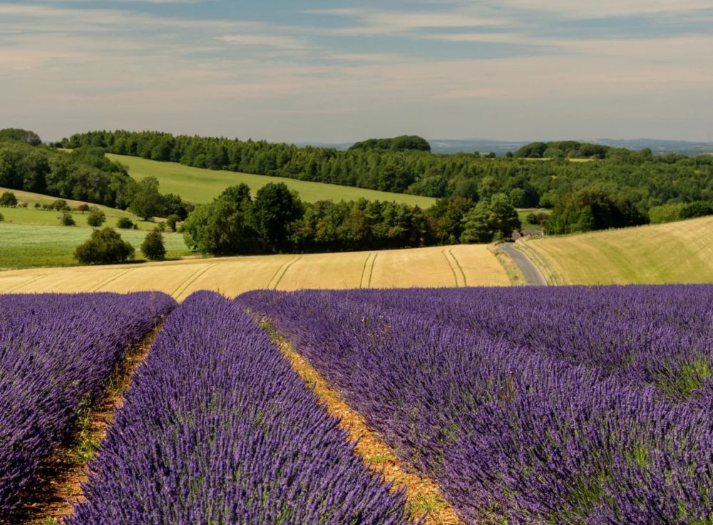 Khám phá những cảnh đẹp ở Anh mà chính người Anh cũng ngỡ ngàng 2