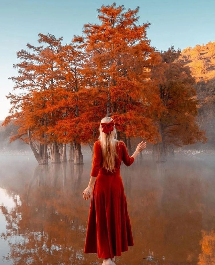 Khám phá khu rừng đỏ bí ẩn ở Nga 1