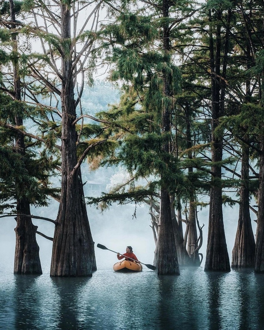 Khám phá khu rừng đỏ bí ẩn ở Nga 3