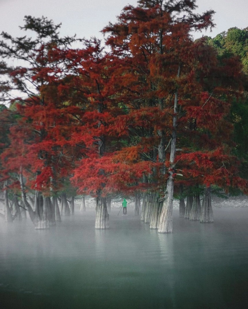 Khám phá khu rừng đỏ bí ẩn ở Nga 6