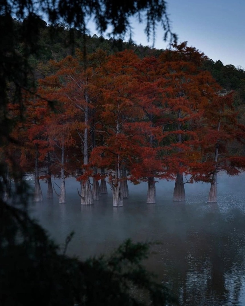 Khám phá khu rừng đỏ bí ẩn ở Nga 7