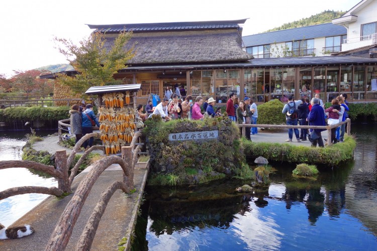 Khám phá làng cổ Oshino Hakkai 4