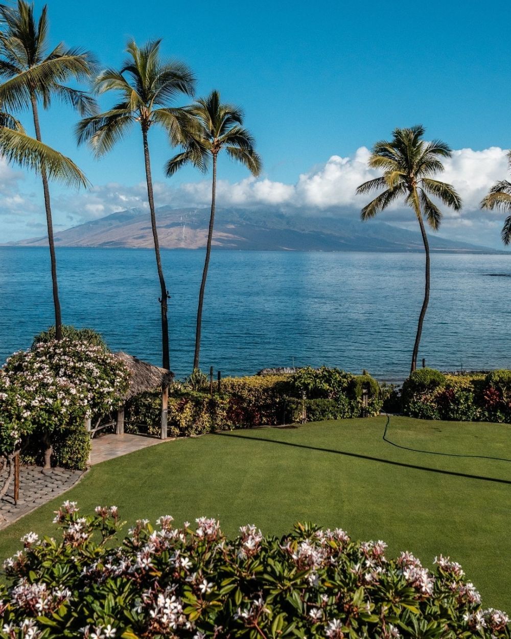 Khám phá những điều thú vị ở Hawaii - Ảnh 2