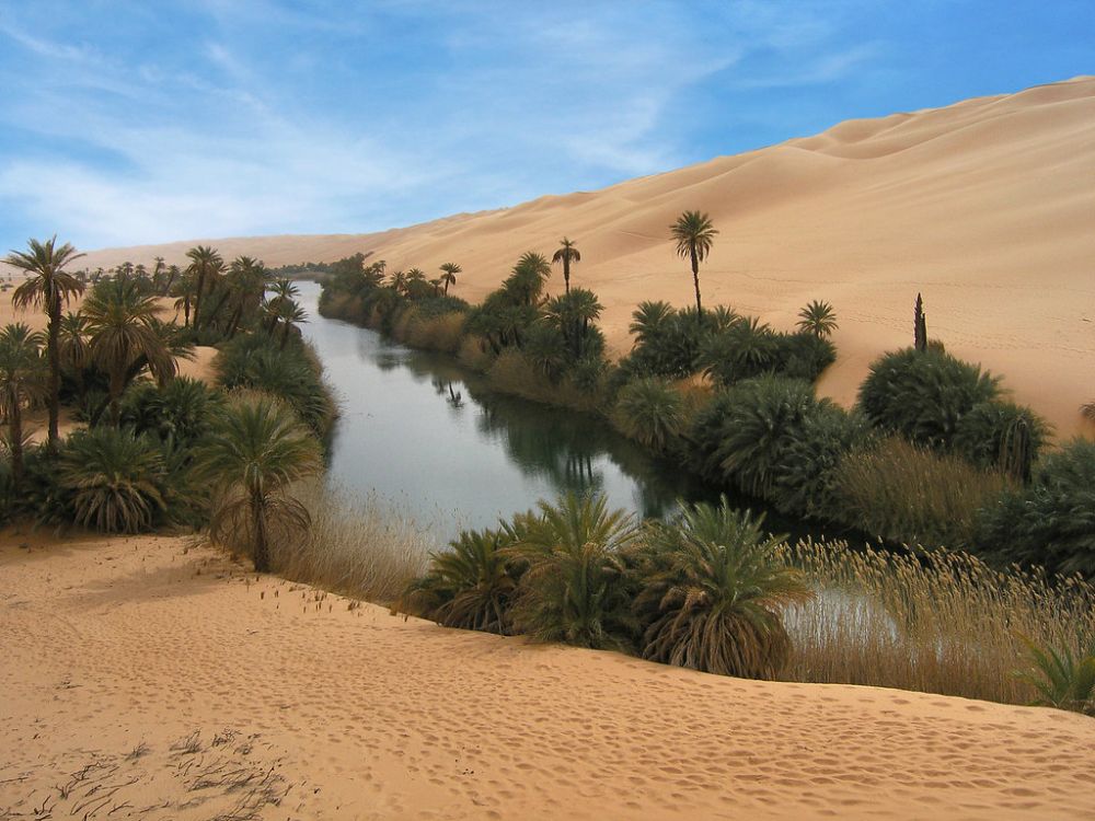 Khám phá những ốc đảo giữa sa mạc cát mênh mông 10