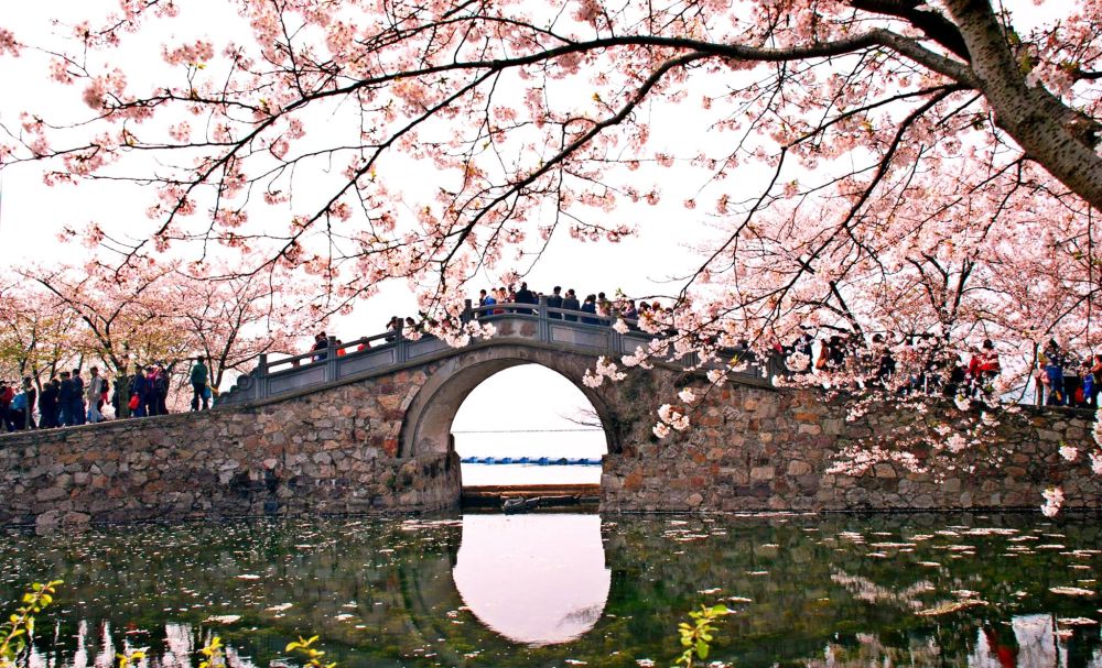 Khám phá nơi được mệnh danh là Venice phương đông của Trung Quốc 4