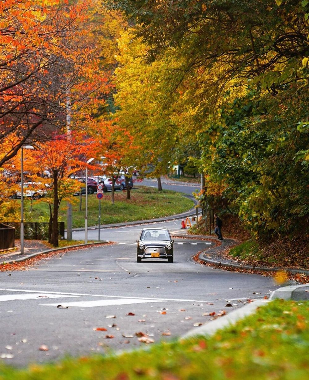 Khám phá vẻ đẹp mộng mơ của mùa thu Nhật Bản 20