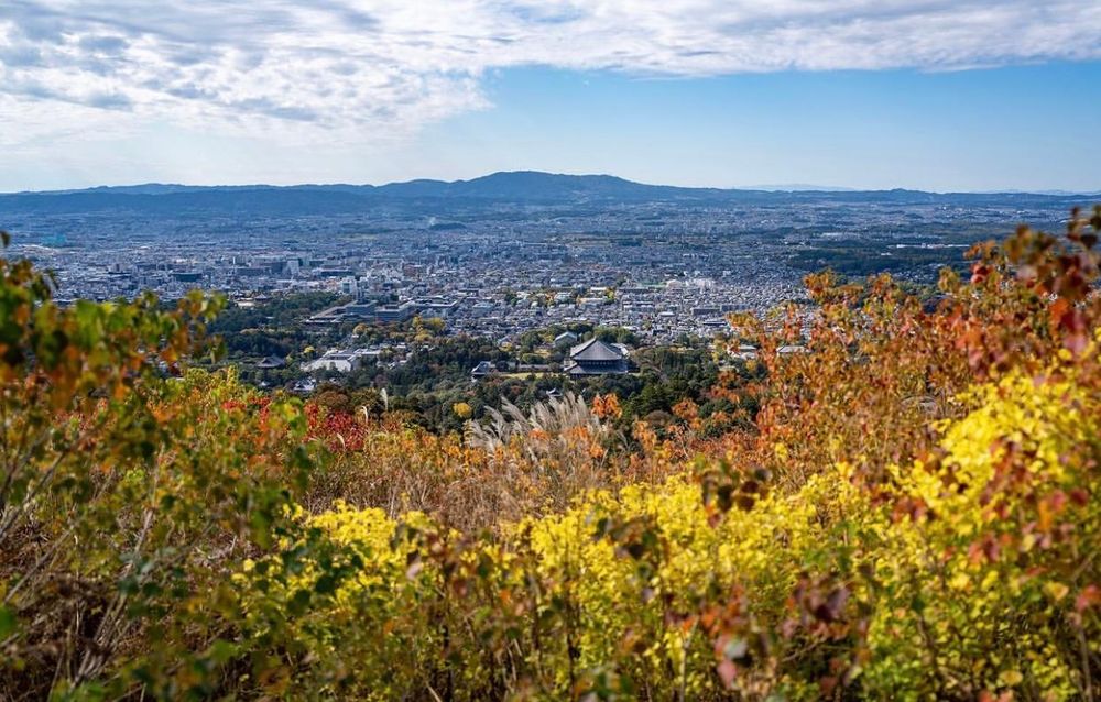 Khám phá vẻ đẹp mộng mơ của mùa thu Nhật Bản 28