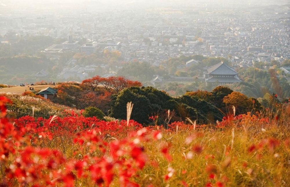 Khám phá vẻ đẹp mộng mơ của mùa thu Nhật Bản 29