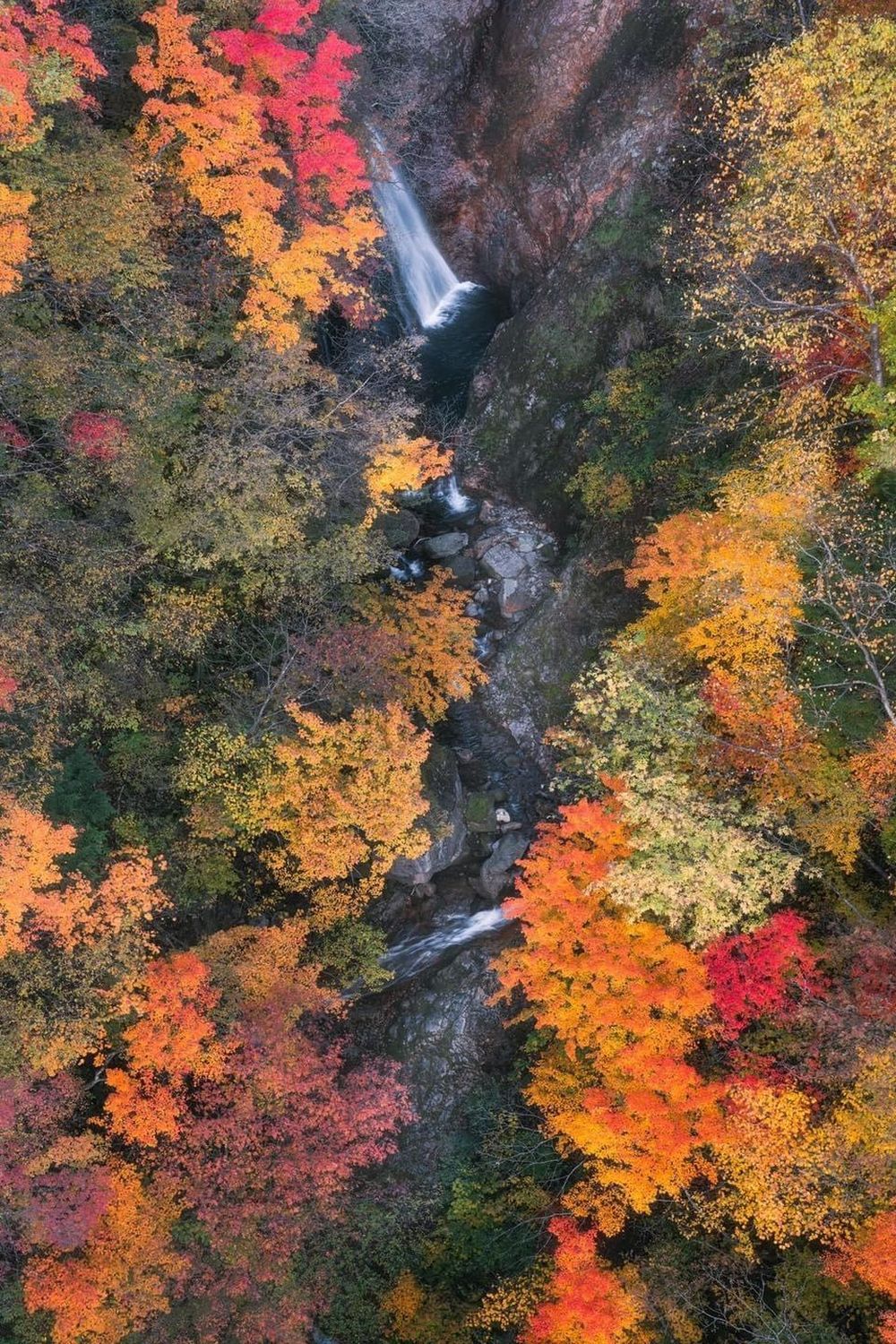 Khám phá vẻ đẹp mộng mơ của mùa thu Nhật Bản 39