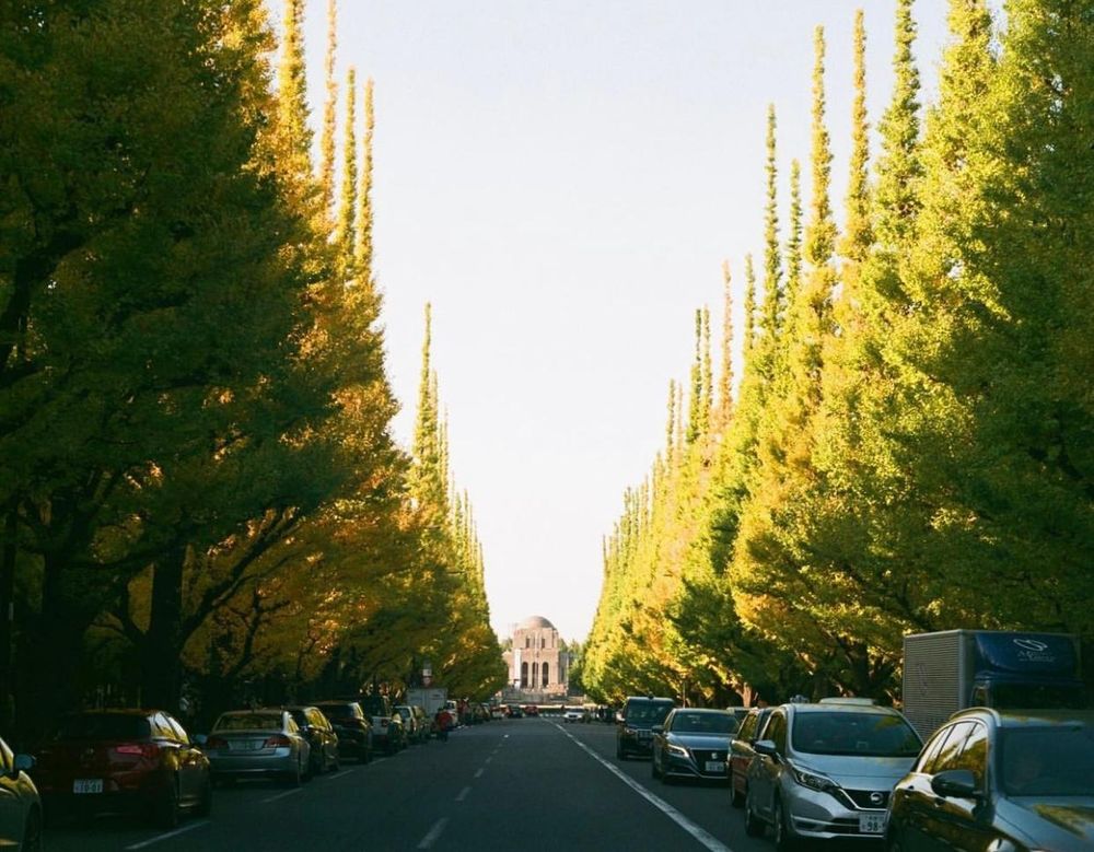 Khám phá vẻ đẹp mộng mơ của mùa thu Nhật Bản 4