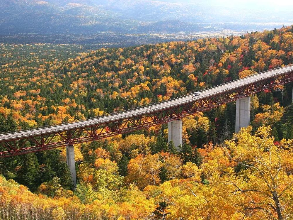 Khám phá vẻ đẹp mộng mơ của mùa thu Nhật Bản 43