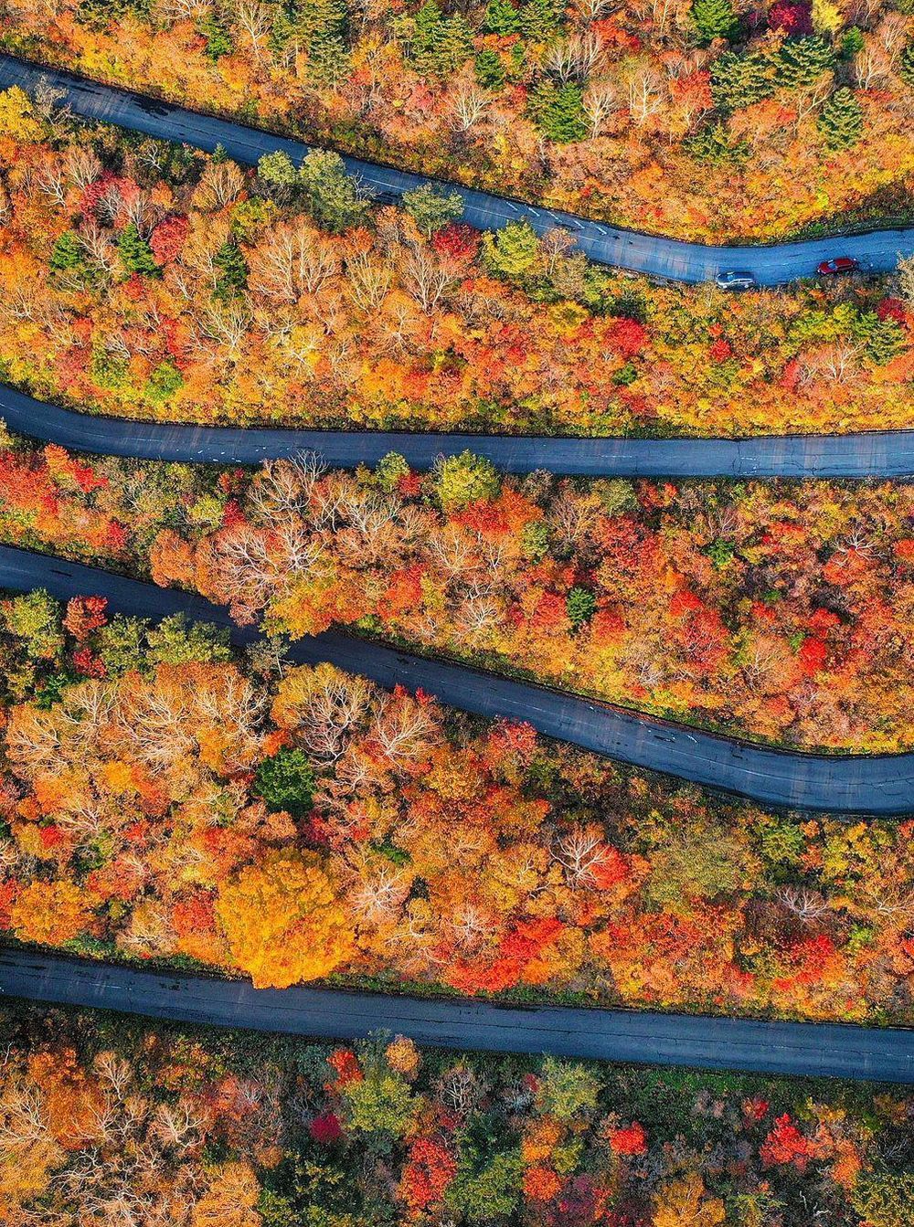 Khám phá vẻ đẹp mộng mơ của mùa thu Nhật Bản 44