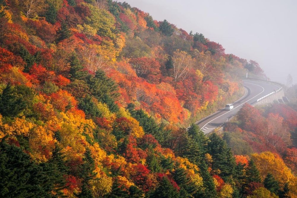 Khám phá vẻ đẹp mộng mơ của mùa thu Nhật Bản 45