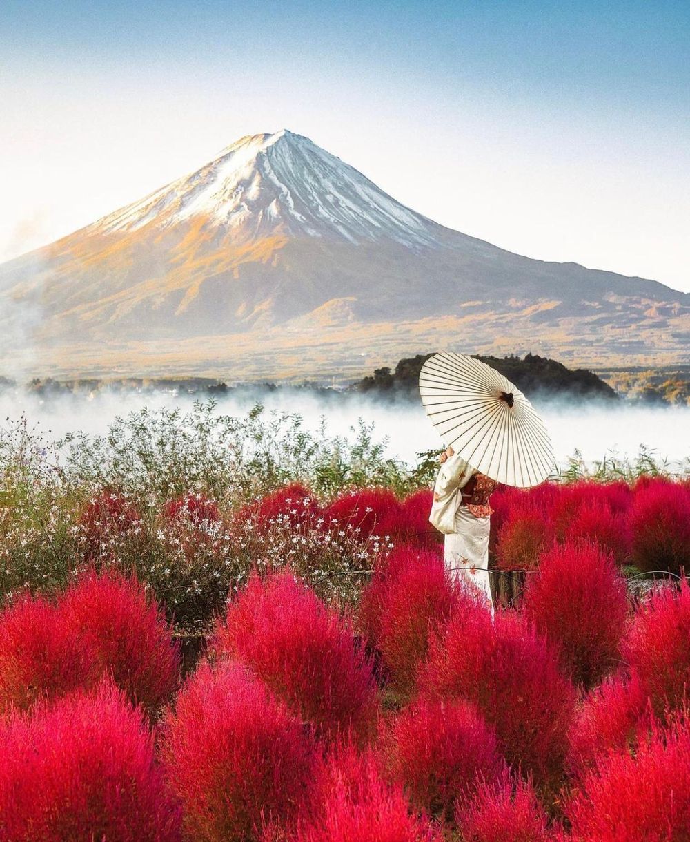 Khám phá vẻ đẹp mộng mơ của mùa thu Nhật Bản 56