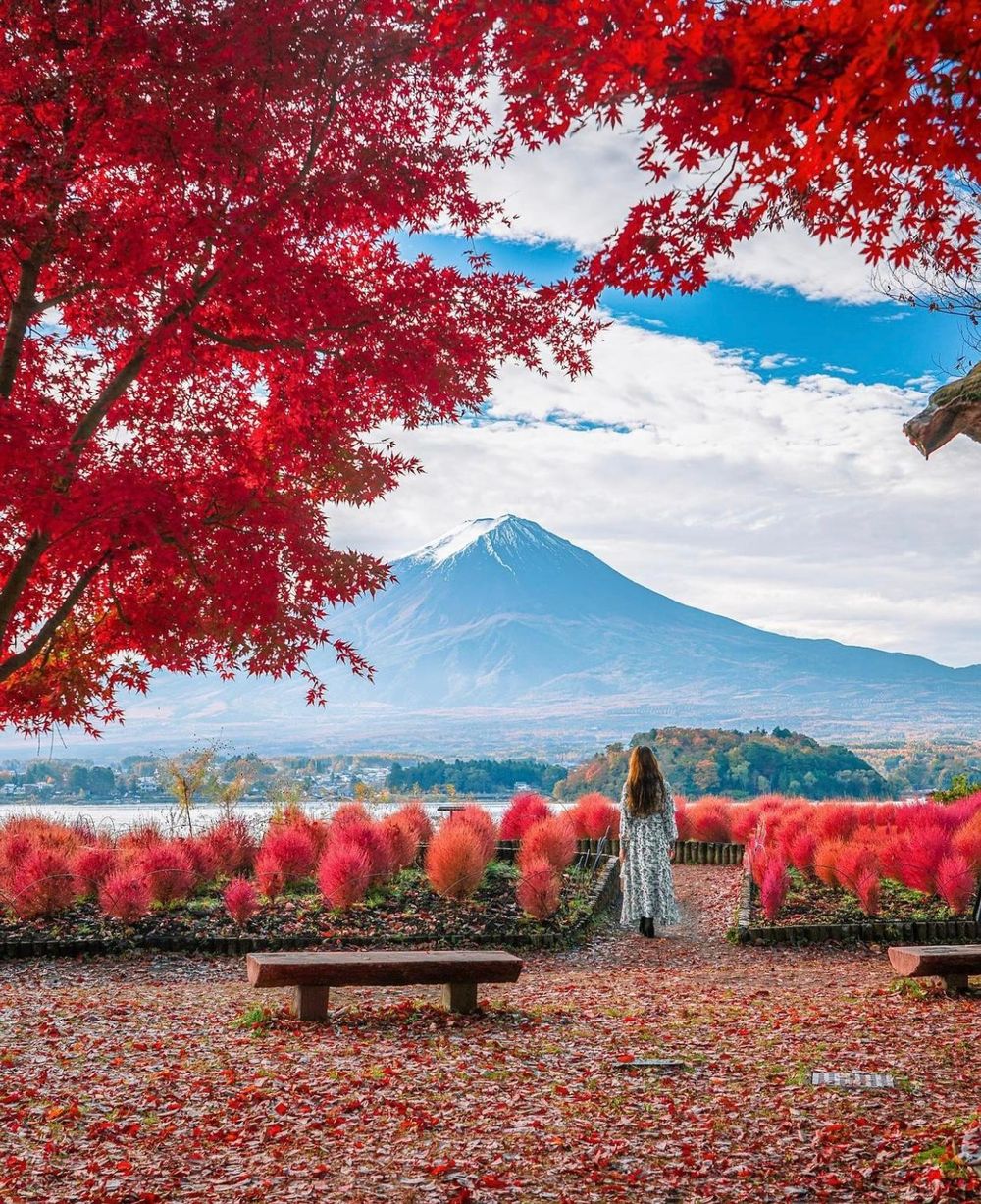 Khám phá vẻ đẹp mộng mơ của mùa thu Nhật Bản 57