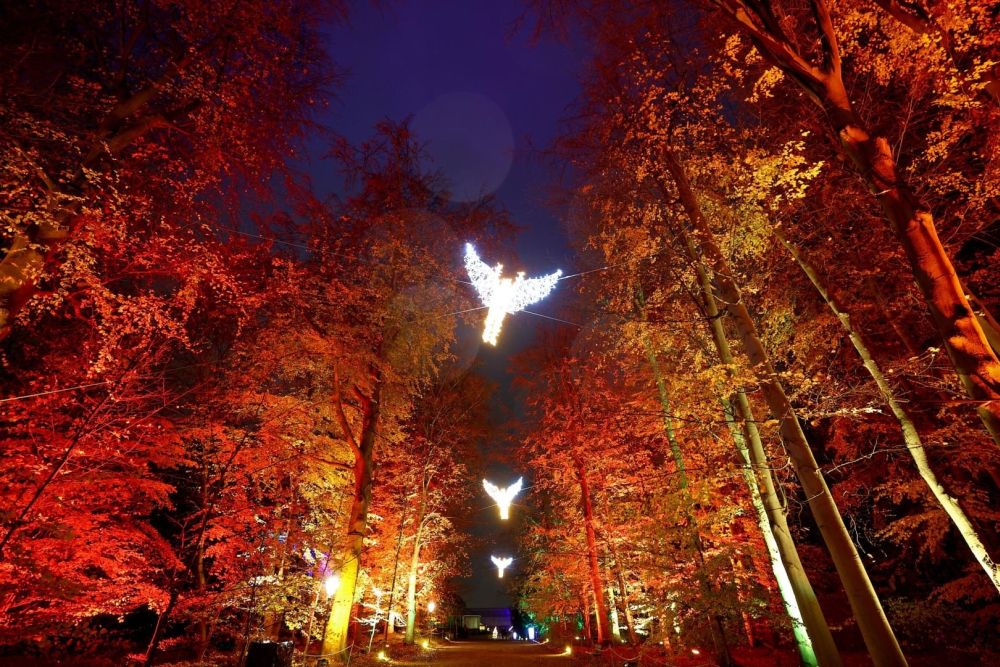 Không khí mùa Giáng sinh ở khắp nơi trên thế giới 8